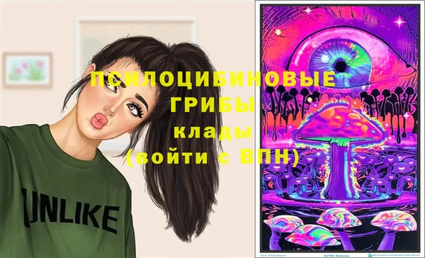 дмт Алексеевка