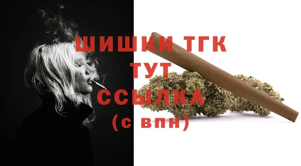 ГАЛЛЮЦИНОГЕННЫЕ ГРИБЫ Алексин