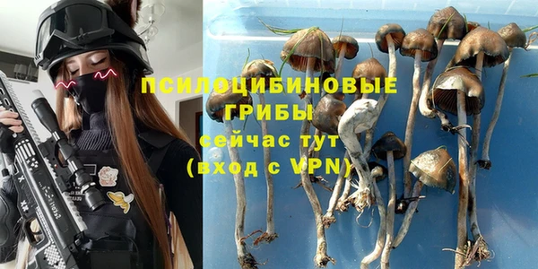 дмт Алексеевка