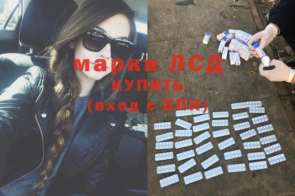 ГАЛЛЮЦИНОГЕННЫЕ ГРИБЫ Алексин